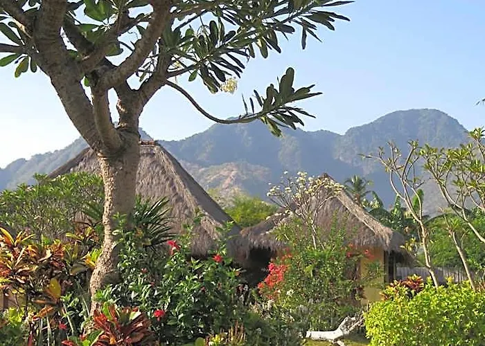 Sunia Loka & Dive Center