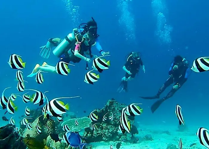 Sunia Loka & Dive Center